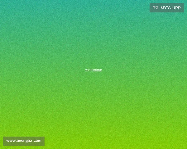 2010短道速滑冠军