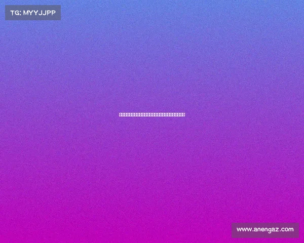 上海体育赛事观众热情助威点燃赛场激情共同见证运动魅力