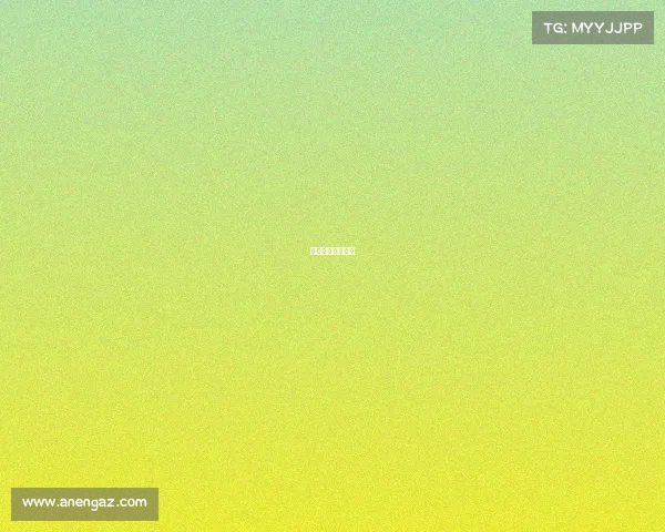 巴甲赛事最新比分