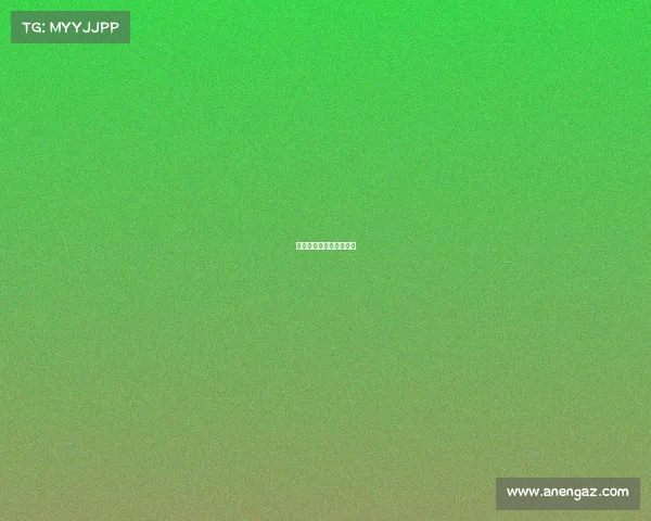 《竞梦同盟：高燃对决》